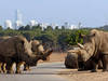 Ramat Gan Safari &copy; Zoological Center Tel Aviv