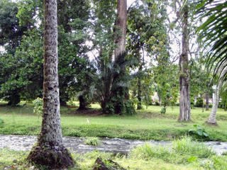 Limbe Botanic Garden
© Limbe Botanic Garden
