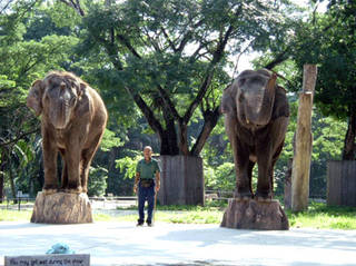 Zoo Negara © Haiqal08